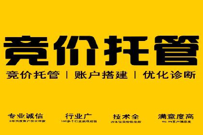 百度竞价账户托管的技巧与策略：从入门到精通的案例解析